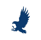 air force.png