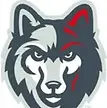 pittsford mendon high school baseball