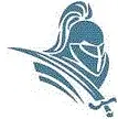 pittsford mendon high school baseball